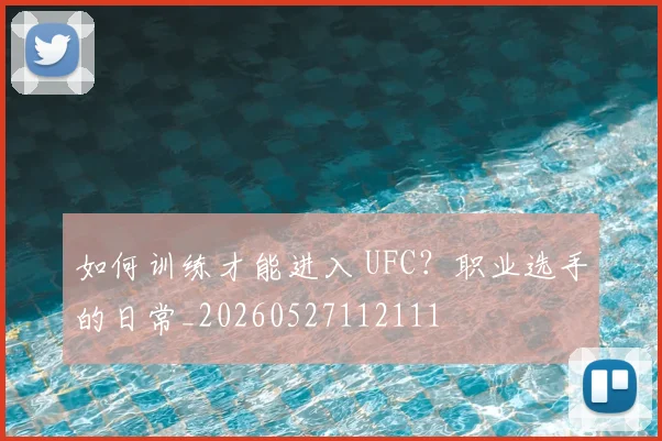如何训练才能进入 UFC？职业选手的日常_20260527112111