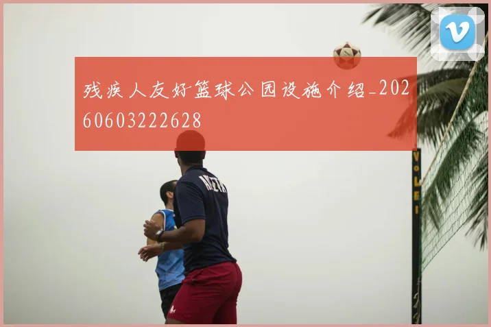 残疾人友好篮球公园设施介绍_20260603222628