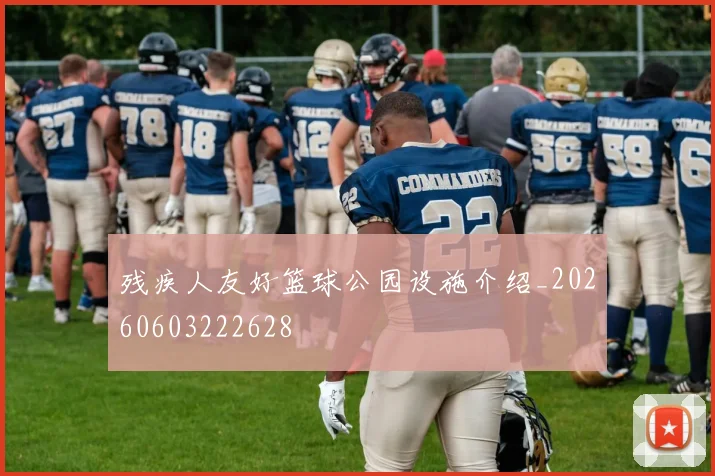 残疾人友好篮球公园设施介绍_20260603222628