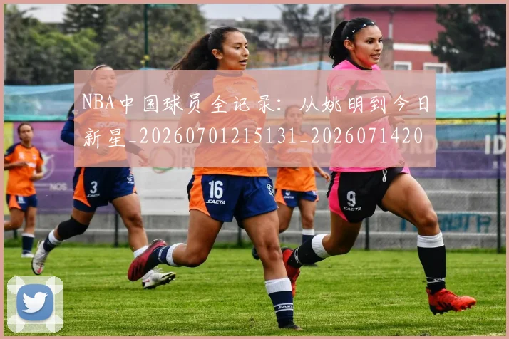 NBA中国球员全记录：从姚明到今日新星_20260701215131_20260714204547